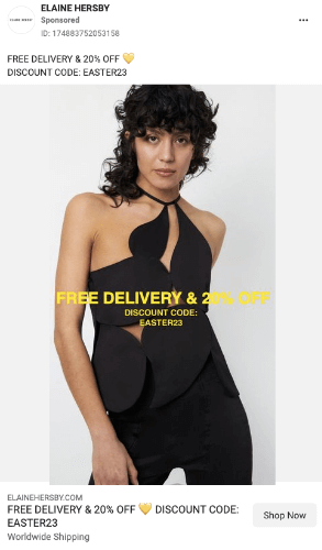 Elaine Hersby social media ad.