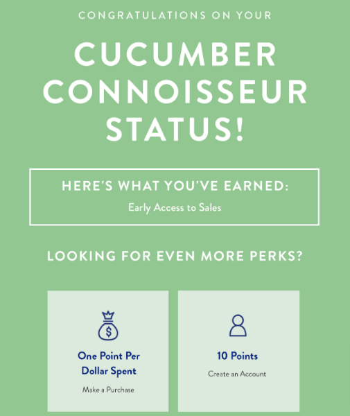 Loaylty program example