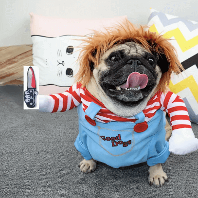 Pug fancy dress chucky